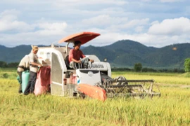 Krông Pa đẩy mạnh tái cơ cấu nông nghiệp