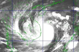 Bão số 9 giật cấp 17 áp sát Đà Nẵng-Phú Yên, đảo Lý Sơn gió giật 26 m/giây