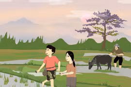 Cua đồng mùa mưa