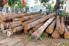 Chư Prông: Truy tìm chủ sở hữu hơn 6 m3 gỗ không rõ nguồn gốc