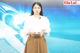 Gia Lai 48h: Ngày 30-10 sẽ xét xử nguyên Chủ tịch UBND huyện Đức Cơ về tội "Tham ô tài sản"