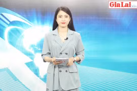 Gia Lai 48h: Quyết tâm đưa Nghị quyết sớm đi vào cuộc sống