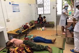 Ăn nấm lạ, 7 người trong gia đình bị ngộ độc