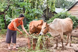 Chư Pưh quan tâm giúp phụ nữ thoát nghèo