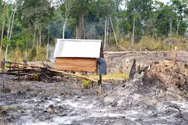 Ban Quản lý rừng phòng hộ xã Nam để 8 hộ dân xây nhà trên đất lâm nghiệp