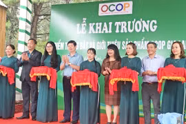 Kết nối, mở rộng mạng lưới bán hàng OCOP