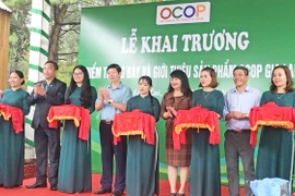 Kết nối, mở rộng mạng lưới bán hàng OCOP