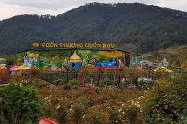 Du lịch canh nông ở Lâm Đồng: Đâu phải dừng là xong!