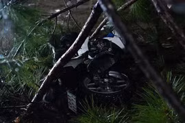 Lâm Đồng: Thông ngã đè người đi đường, nhiều nơi ngập úng, chia cắt