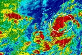 Bão đạt sức gió 120 km/h vào 24-10 khi hướng vào miền Trung