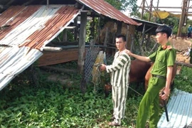 Phú Thiện quyết liệt đấu tranh với nạn trộm bò
