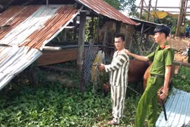 Phú Thiện quyết liệt đấu tranh với nạn trộm bò