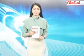 Gia Lai 48h: An toàn vệ sinh lao động vẫn còn bỏ ngỏ