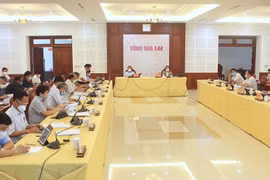 Gia Lai: Nghe báo cáo đồ án điều chỉnh quy hoạch 2 thị trấn Phú Túc và Đak Pơ