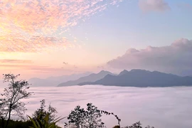 "Săn mây" ở Hầu Chư Ngài