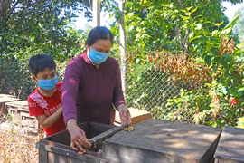 Đak Pơ hỗ trợ phụ nữ khởi nghiệp