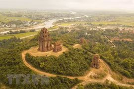 Tu bổ tháp Bánh Ít ở Bình Định: Phát hiện hiện vật nhưng vẫn thi công?