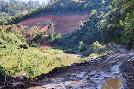 Vụ phá rừng làm đường Trường Sơn Đông: Kiến nghị chuyển cơ quan điều tra hình sự