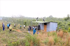 Đắk Nông cưỡng chế 15 trường hợp lấn chiếm đất rừng ven Quốc lộ 28