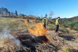 Gia Lai: Nghiêm cấm sử dụng lửa trong rừng có cấp dự báo cháy nguy hiểm và cực kỳ nguy hiểm