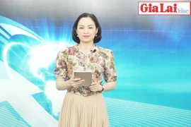 Gia Lai 48h: Viện Vệ sinh Dịch tễ Tây Nguyên kiểm tra công tác phòng-chống dịch tại An Khê