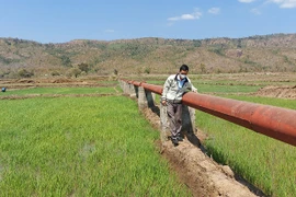 Khát vọng Ayun