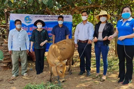 Pleiku: Tặng sổ tiết kiệm và bò giống cho hội viên hội phụ nữ khó khăn