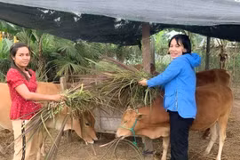 Krông Pa hỗ trợ phụ nữ thoát nghèo