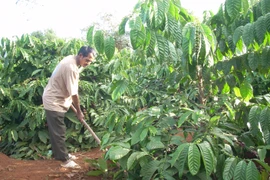 Điểm sáng công tác Hội và phong trào nông dân