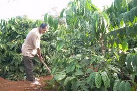 Điểm sáng công tác Hội và phong trào nông dân