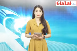 Gia Lai 48h: Gia Lai thi hành kỷ luật 41 đảng viên trong quý I-2022