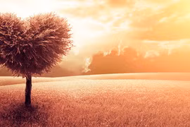 Hạnh phúc bên học trò