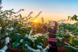 Hương sắc Tây Nguyên