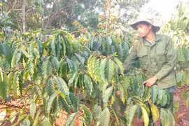 Xứng danh "thủ lĩnh" thanh niên