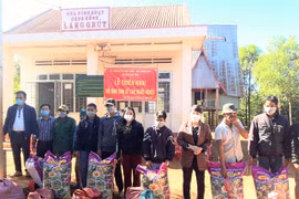 Chư Păh: Hỗ trợ sinh kế cho hộ nghèo xã Ia Khươl