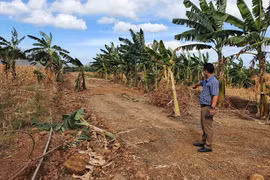 Phân lô, xây nhà trái phép ở TP.Buôn Ma Thuột: Lập đoàn thanh tra xử lý