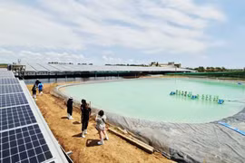 Dưới tấm quang năng: Nhà nông thôi lo tiền điện