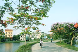 Phê duyệt Chương trình mục tiêu quốc gia xây dựng nông thôn mới giai đoạn 2021-2025