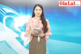 Gia Lai 48h: Quyết tâm hoàn thành Dự án đường Nguyễn Văn Linh trong nhiệm kỳ