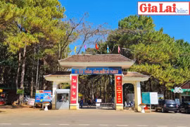 Du lịch Pleiku trong trạng thái bình thường mới