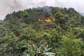 China Eastern Airlines thông tin về người thiệt mạng trong vụ tai nạn