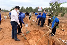 Đồng loạt ra quân 'Ngày Chủ Nhật xanh' toàn quốc năm 2022