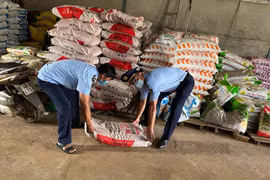 Đắk Nông kiên quyết "trảm" nạn phân bón giả