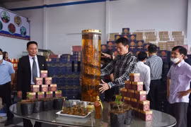 Mượn danh "quốc bảo" trục lợi: Phải xử mạnh!