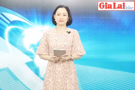 Gia Lai 48h: Siết chặt quản lý kinh doanh xăng dầu