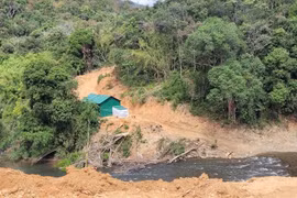 Tổng Cục Lâm nghiệp nói về vụ hủy hoại rừng làm đường Trường Sơn Đông