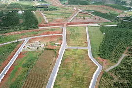 Tạm dừng tách, hợp thửa khu vực đường đi từ việc hiến đất ở Lâm Đồng