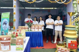 Gia Lai có 1 dự án đạt giải khuyến khích Cuộc thi học sinh-sinh viên với ý tưởng khởi nghiệp