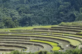 Ngắm mùa nước đổ trên vùng rẻo cao biên giới Bình Liêu, Quảng Ninh