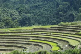 Ngắm mùa nước đổ trên vùng rẻo cao biên giới Bình Liêu, Quảng Ninh